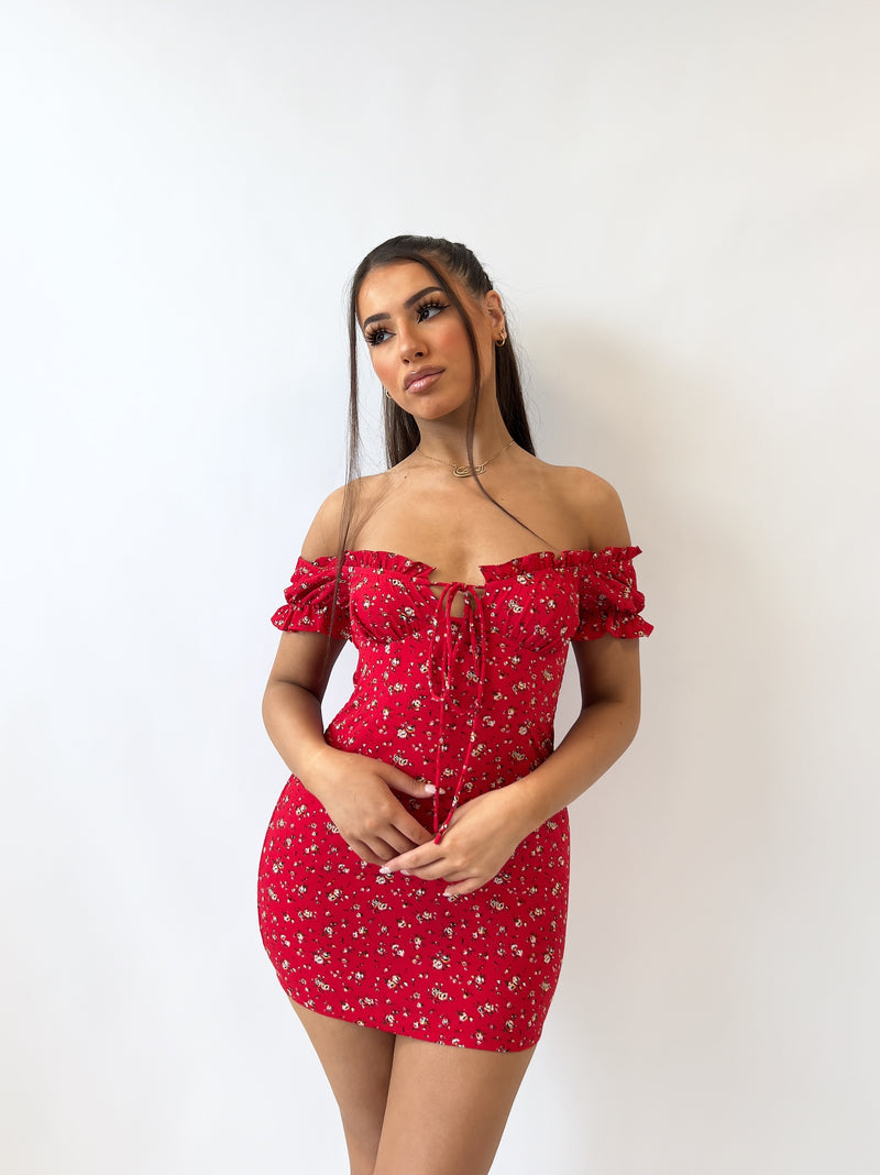 Aria Floral Mini Dress