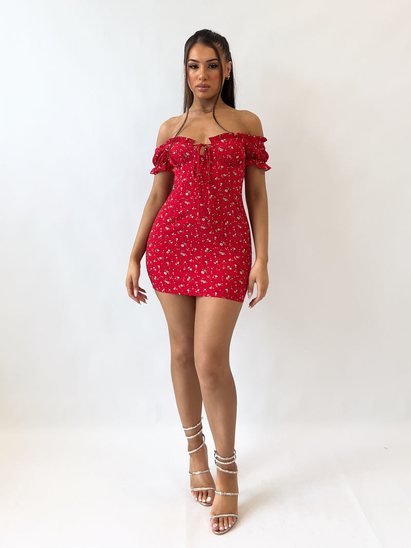 Aria Floral Mini Dress