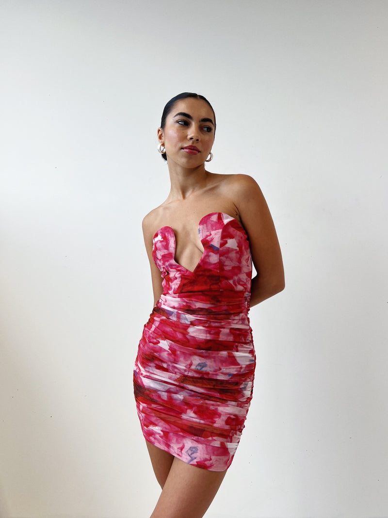 Alexander Mini Dress