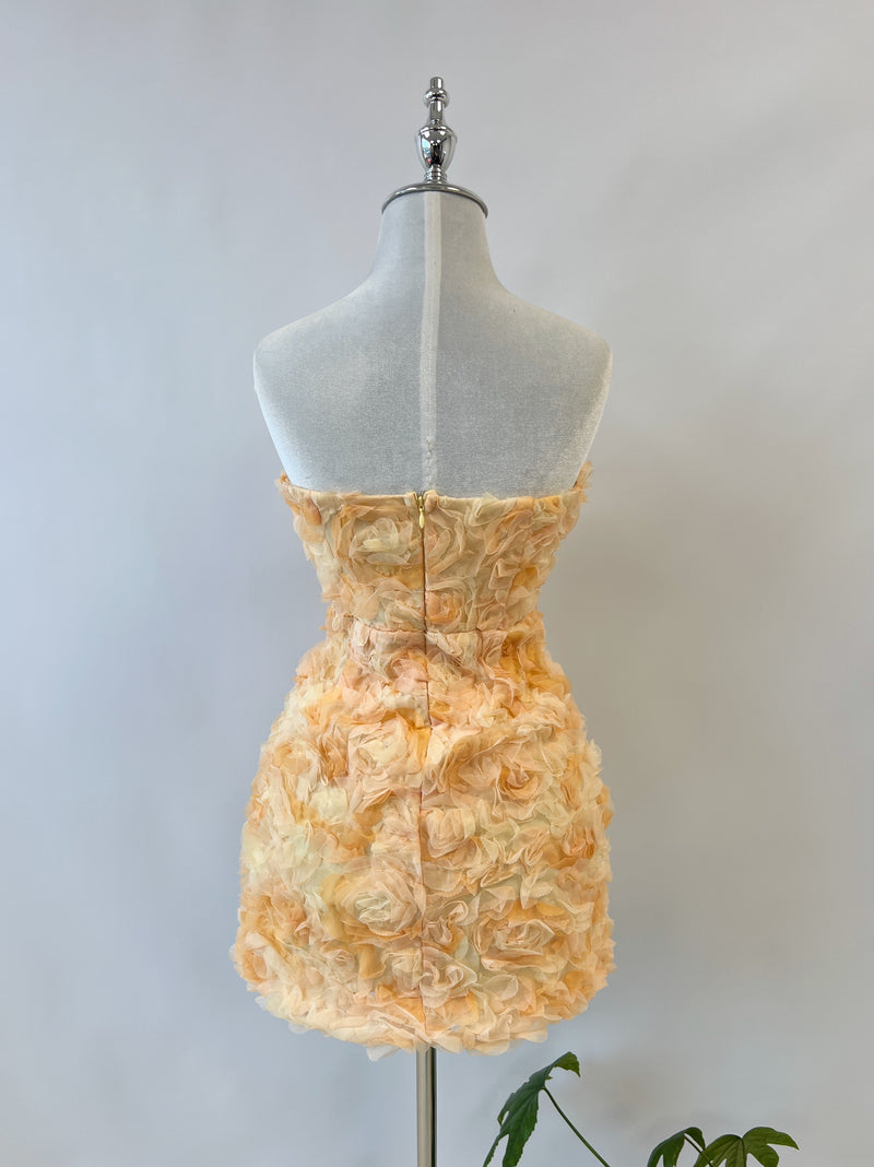 Rosette Mini Dress - Orange