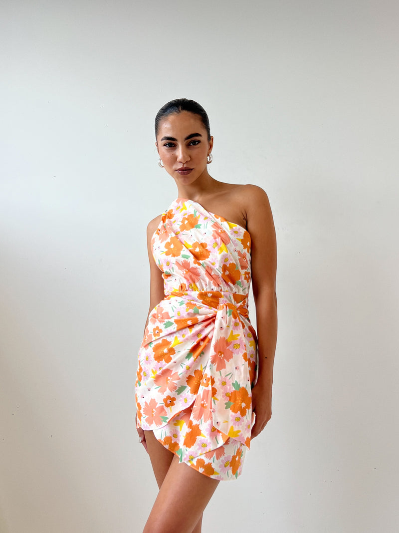 Dayton Floral Mini Dress
