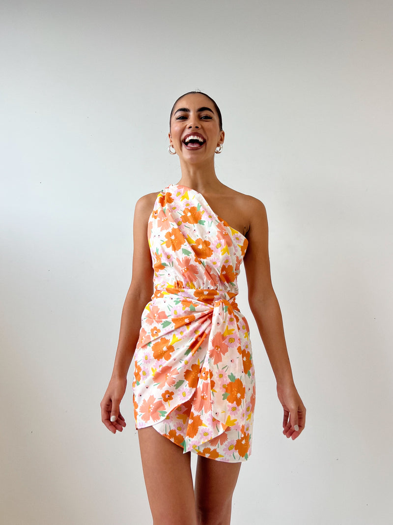 Dayton Floral Mini Dress