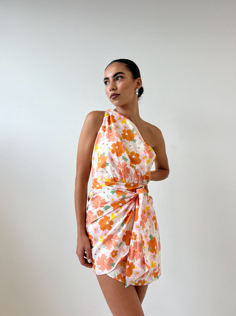 Dayton Floral Mini Dress