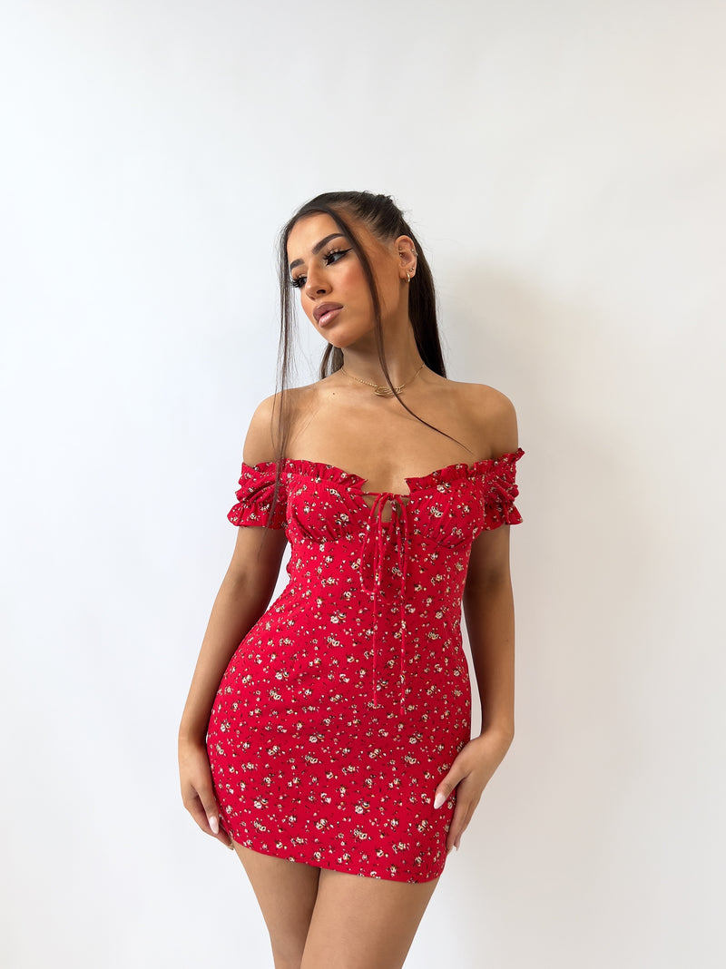 Aria Floral Mini Dress
