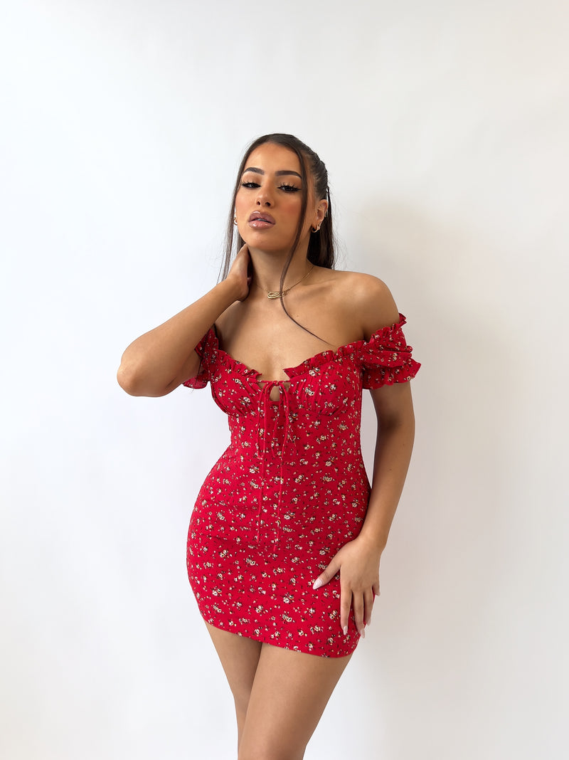Aria Floral Mini Dress