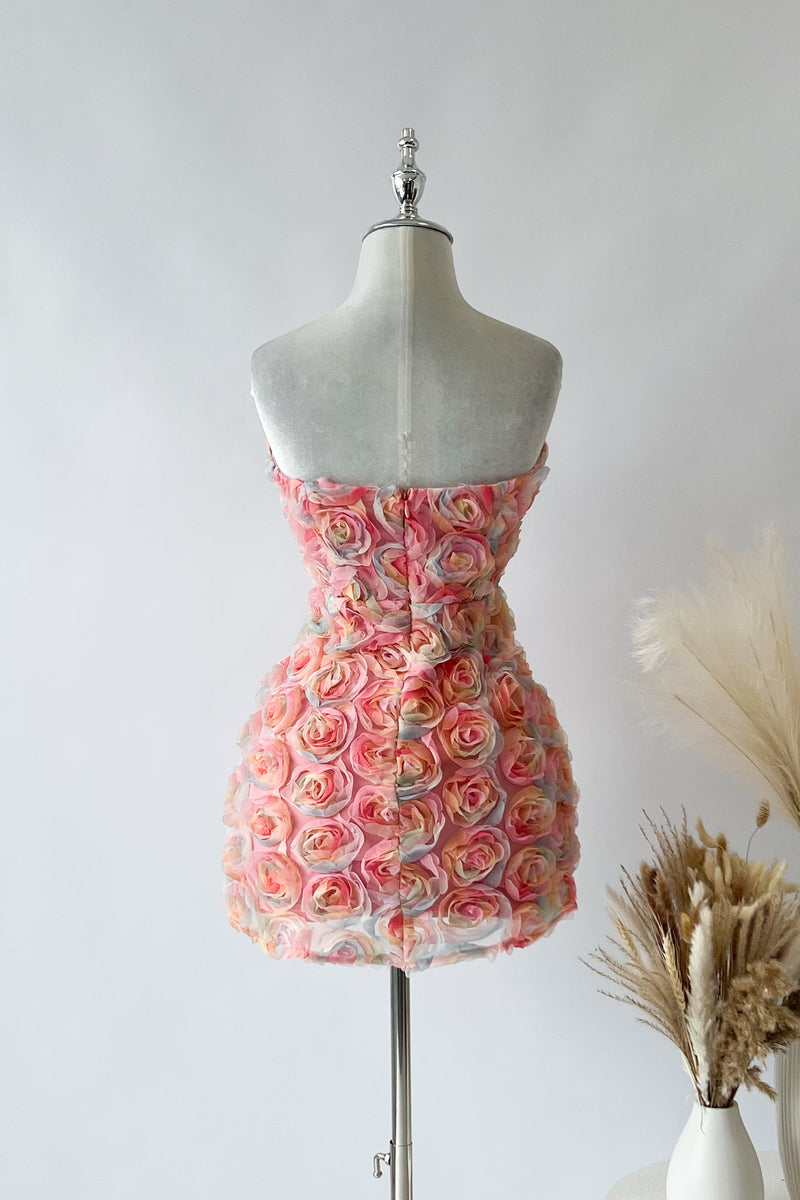 Rose Petal Multi Colour Mini Dress